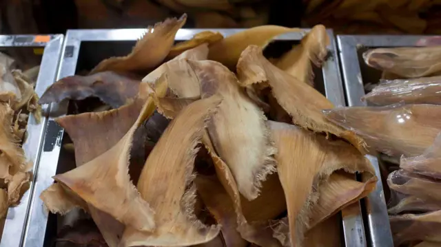 Shark fins for sale in a Taipei market