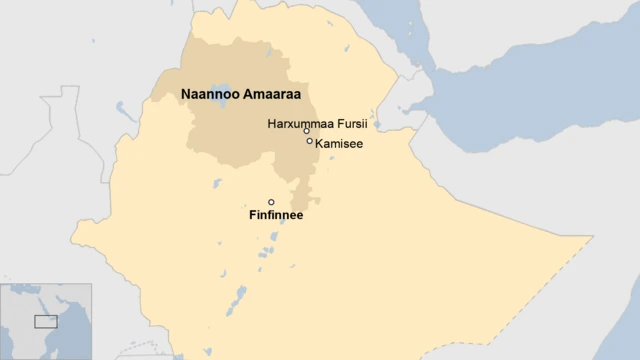 Danaa bakkeewwan rakkoon nageenyaa kun itti mudate agarsiisu