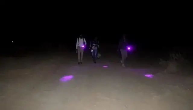 युव्ही रेज टॉर्च घेऊन विंचवाच्या शोधात निघालेले संशोधक 