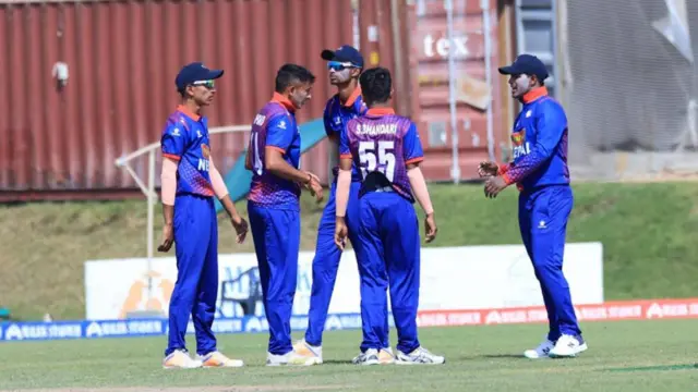 क्रिकेट 