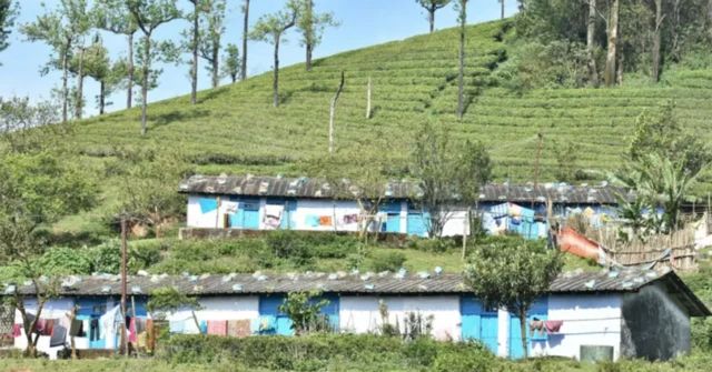 தலித்துகள், முஸ்லிம்கள், இந்தியா, பாகுபாடு, அரசியல்