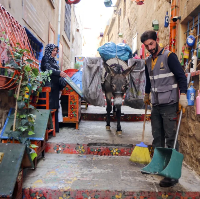 Harree daandii qulqulleessuuf har'allee itti fayyadamu