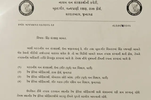 ગીર સિંહ સિંહણ અભયારણ્ય બીબીસી ગુજરાતી ફોટા પજવણી જૂનાગઠ સાવજ સંરક્ષણ પ્રાણી જંગલી મારણ ગુજરાત