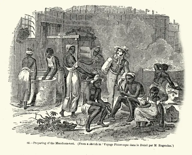 Caricatura de unos esclavos trabajando en una plantación en América del Sur