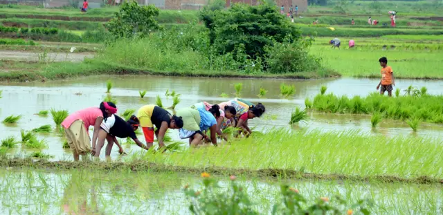 मान्सून 