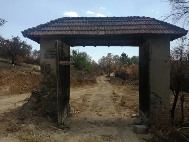 пожари, Србија, југ Србије, Тмава, Куршумлија