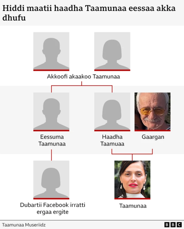 Hidda maatii Taamunaa