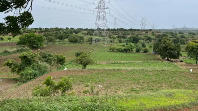मीना आणि मारोती डांगे यांची शेती आणि त्यातली आंब्यांची झाडं शक्तिपीठ महामार्गात जाणार आहेत.