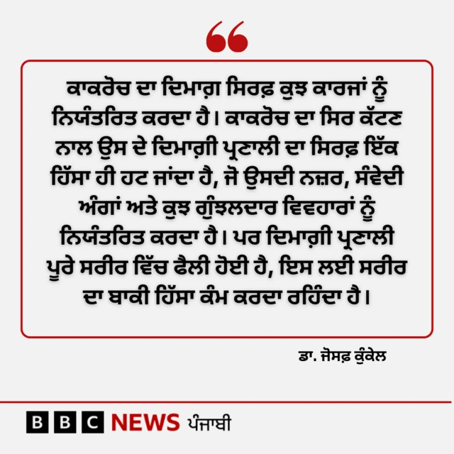 ਕਾਕਰੋਚ
