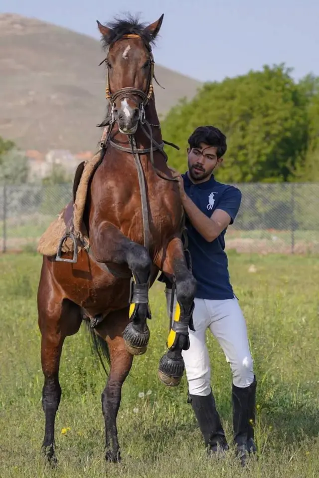 میلاد معروفی