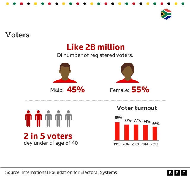 South Africa election in numbers image