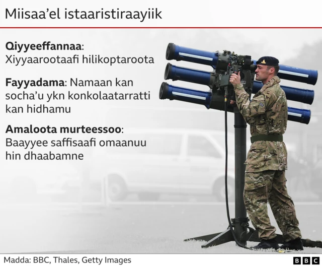 Miisaa'eelii Starstreaker 