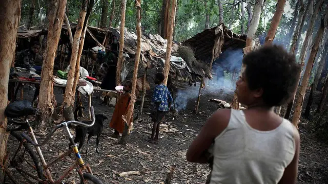 adat, hutan, perempuan