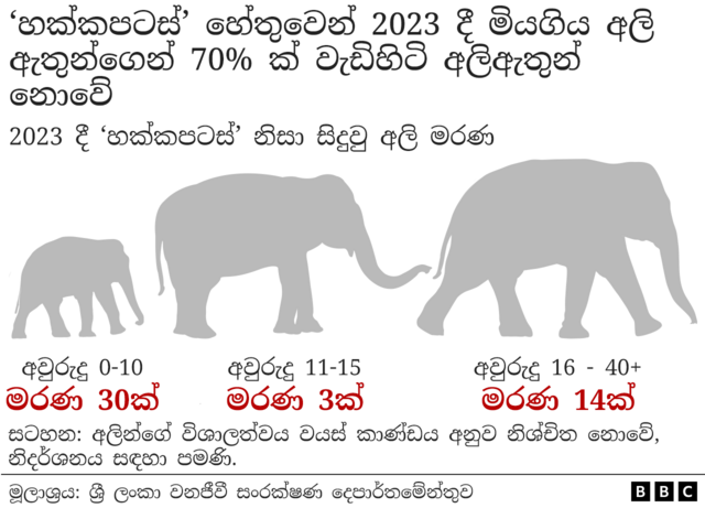 ශ්‍රී ලංකාව අලි ඇතුන් ඈත් කර තැබීම සඳහා විදුලි වැටවල් ඉදිකිරීමට අවසර දෙන අතර, බරපතළ තුවාල සිදු නොකර ඔවුන්ව එලවා දැමීමට තරම් ආරෝපණය ප්‍රබල ය. 