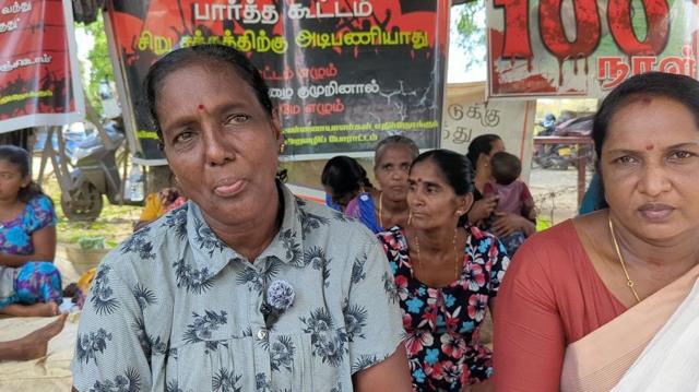 இலங்கை, மட்டக்களப்பு, தமிழர்கள், சிங்களர்கள், விவசாயம், கால்நடை, மாடுகள்