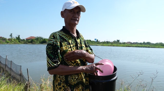 banjir rob, pesisir utara jawa, pantura, kendal