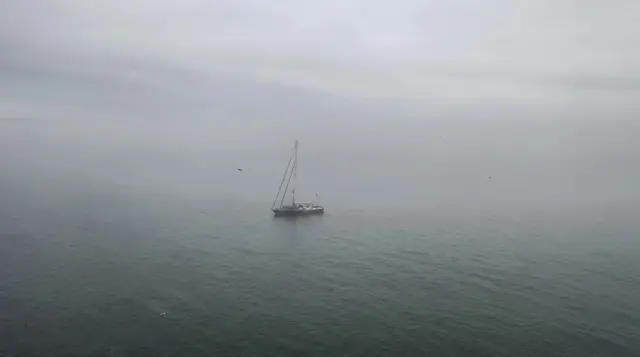 드미트리 코크는 러시아 북동쪽 추코트카 반도 주변을 항해하던 중에 북극곰을 발견했다