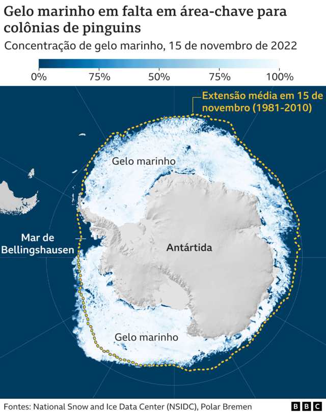 Imagem mostra gelo marinho em falta em região povoada por pinguins