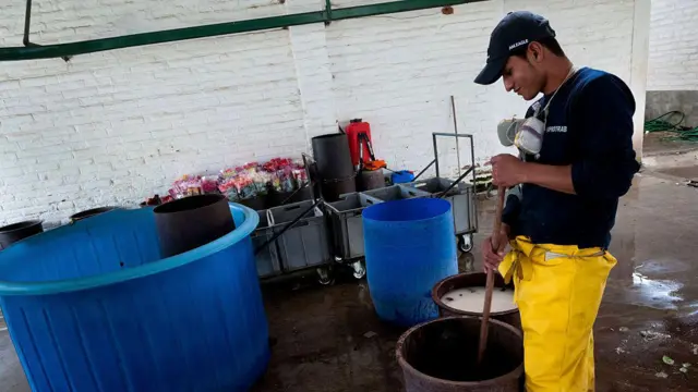 ਅਸਥਾਈ ਕਾਮੇ