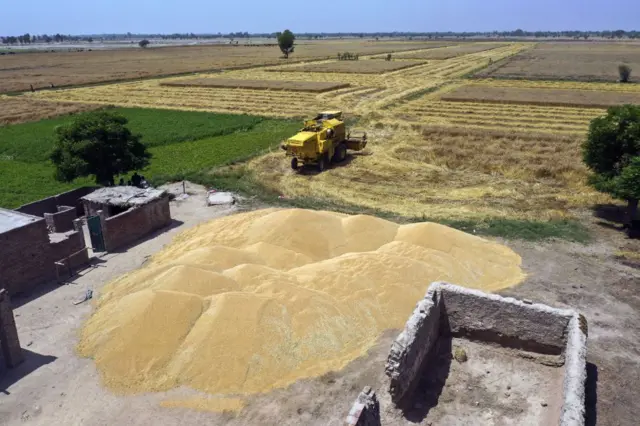 علامتی تصویر 