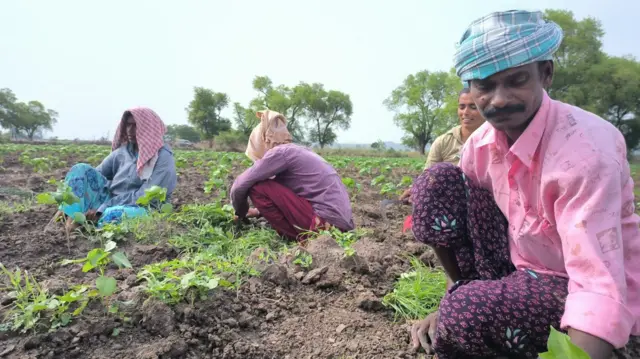 పల్నాడు