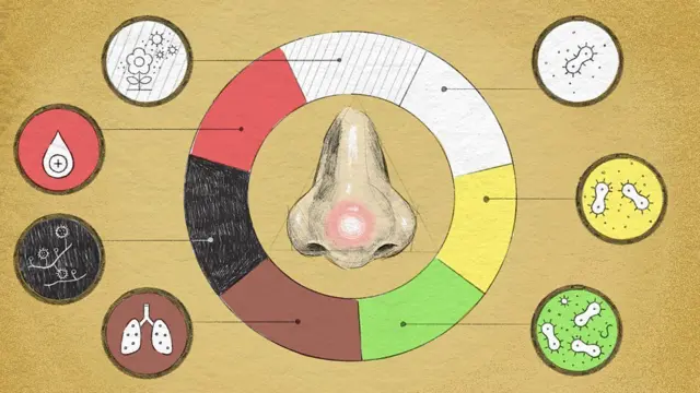 બીબીસી ગુજરાતી, ગુજરાત, બીબીસી, હેલ્થ, સ્વાસ્થ્ય, 