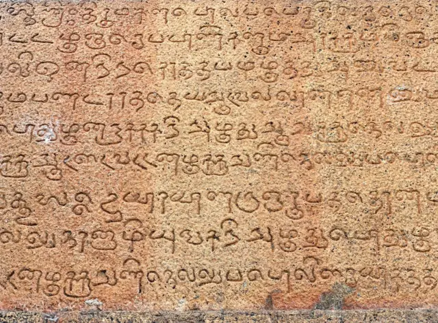 கமல்ஹாசன், கன்னட மொழி சர்ச்சை, தமிழ் மொழி, கன்னட மொழி,