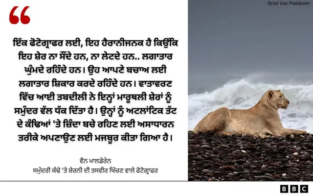 ਵੈਨ ਮਾਲਡੇਰੇਨ