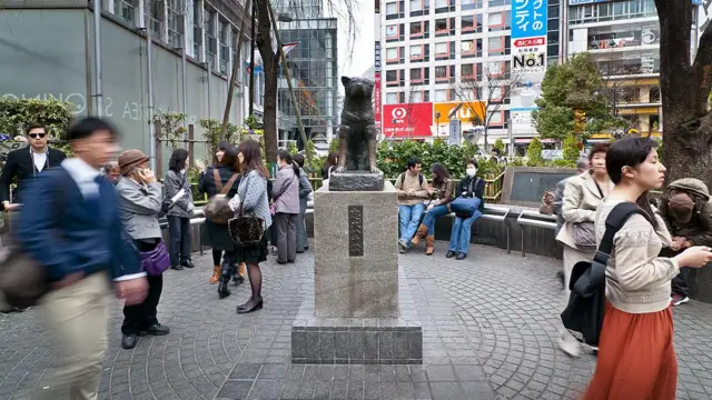 हाचिकोचा पुतळा