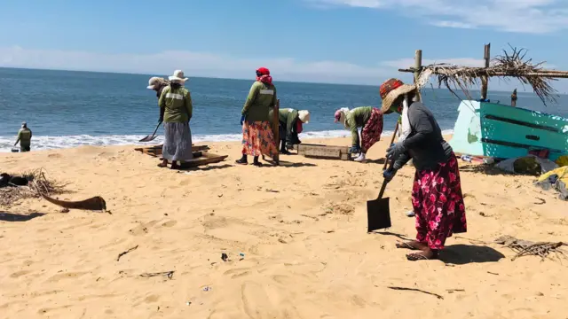 2021 මැයි මස 26 වැනිදා ආරම්භ කරන ලද මෙම වැඩසටහනට සෘජු සේවකයන් ලෙස ලියාපදිංචි වී ඇති ප්‍රමාණය 210 ක්