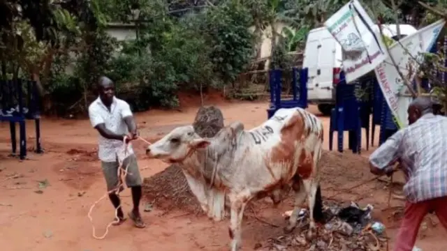 Ehi eji eme akwamozu