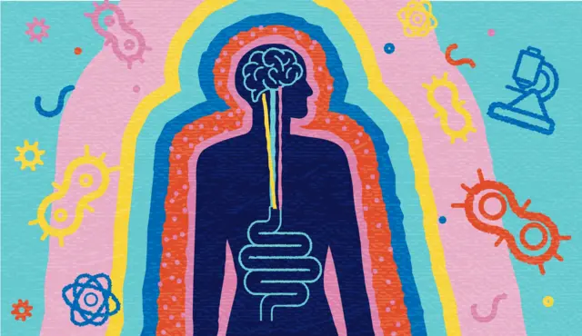 मेंदू आणि आतड्याचा काय संबंध आहे? तुमचा मूड, भावना मेंदूबरोबर आतडंसुद्धा कशा जपतं? वाचा