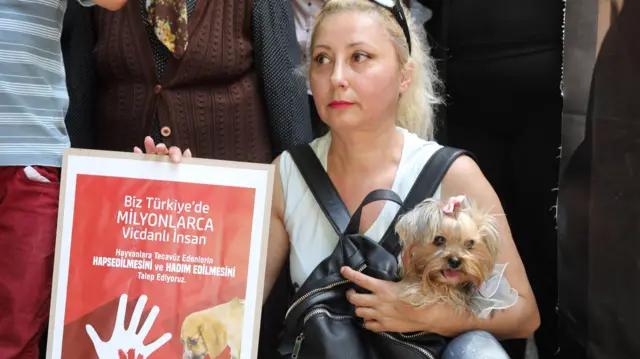 జంతువులపై లైంగికదాడులు, భారతీయ న్యాయ సంహిత, న్యాయస్థానాలు