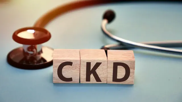 சிறுநீரக செயலிழப்பு, சிறுநீரக நோய்கள், சிகேடி, க்ரானிக் கிட்னி டிசீஸ், நாள்பட்ட சிறுநீரக நோய்