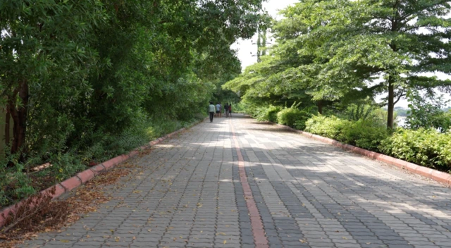 వాకింగ్ ట్రాక్