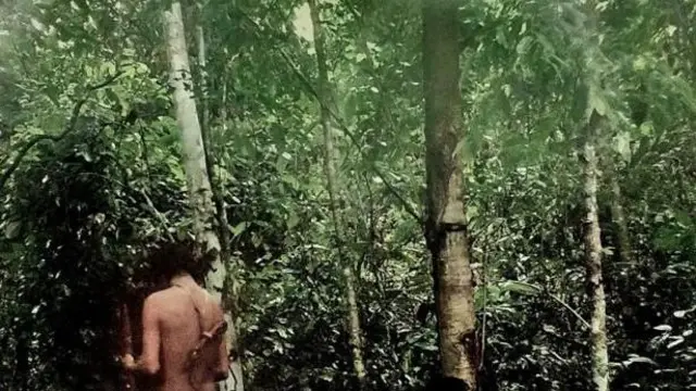 மாசகோ பழங்குடி, அமேசான், பிரேசில் 