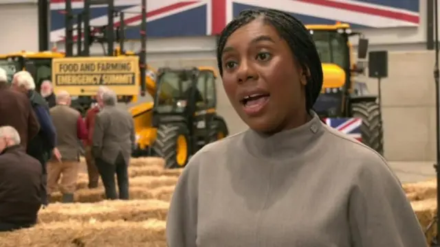 کمی بیدناک، رهبر حزب محافظه‌کار بریتانیا