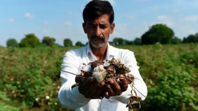 ખેડૂત