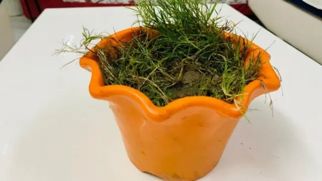 ਸਮ੍ਰਿਤੀ ਆਰਿਆ