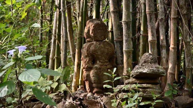 కొత్తకన్నాయిగూడెం, కావడిగుండ్ల పంచాయతీ, ఆదివాసీ కుటుంబాలు, గిరిజనులు, ఆధార్, రేషన్ కార్డ్, అడవి