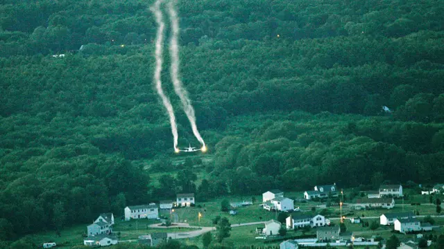 EEE வைரஸ், கொசு