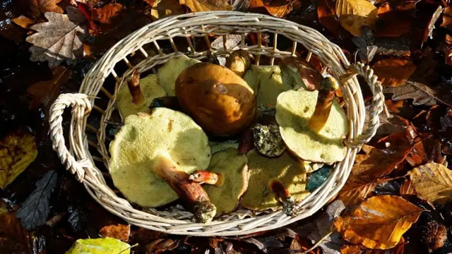 Pendant l'occupation, de nombreux Français se sont mis à la recherche de nourriture.