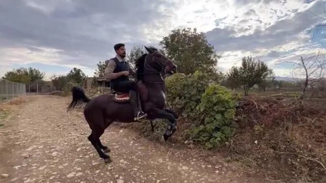 میلاد معروفی