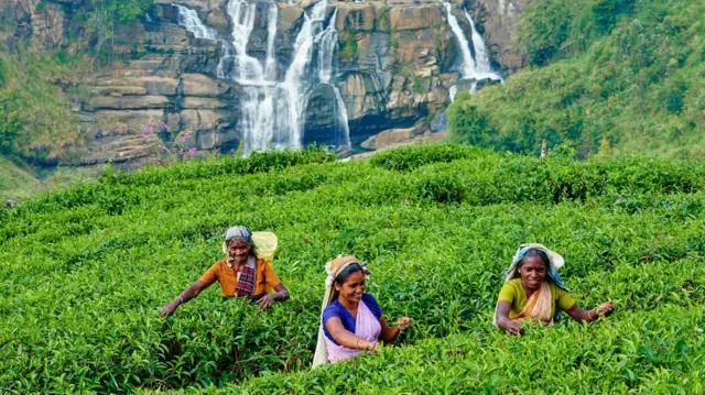 இலங்கை சுற்றுலா - குறைந்த செலவில் செல்ல அவசியம் தெரிந்துகொள்ள வேண்டிய தகவல்கள்