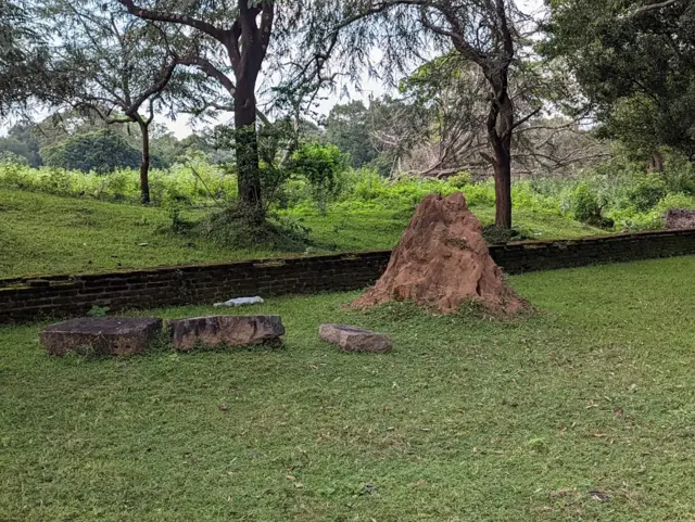 சோழர் ஆட்சியில் இலங்கை