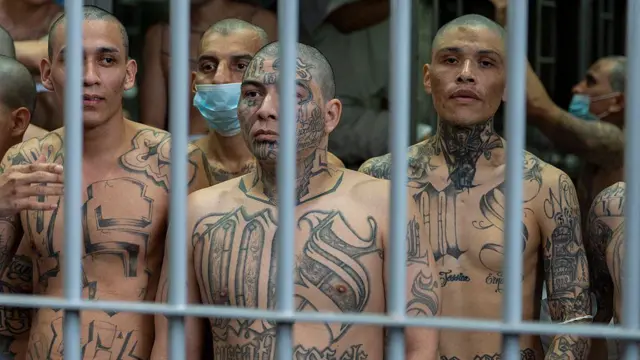 Por trás das grades de uma cela na prisão salvadorenha Cecot, pode-se ver três homens em primeiro plano sem camisas, com o peito e os braços tatuados. O do centro e o da esquerda têm tatuada a sigla MS, usada pela gangue Mara Salvatrucha.