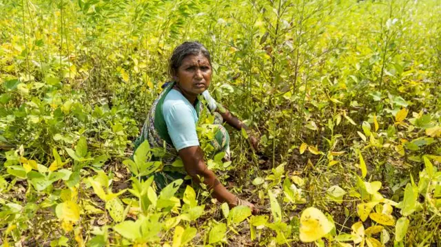 प्रातिनिधिक फोटो