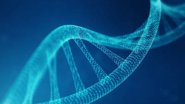 બળાત્કાર, મહિલા પર અત્યાચાર, DNA ટેસ્ટ, બીબીસી ગુજરાતી, પાકિસ્તાન, જાતીય હિંસા