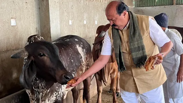 પૂર્ણેશ મોદી