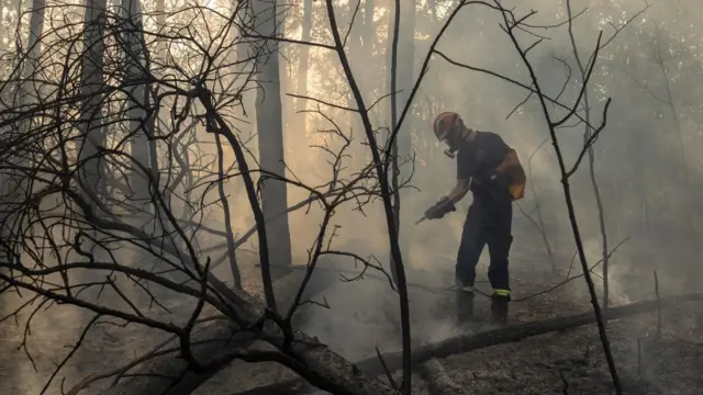 Vatrogasac u Deliblatskoj peščari